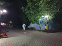 Dezinsecție programată la Bârlad în nopțile de 7 și 8 iulie. Intervențiile vizează parcuri, locuri de joacă și zone verzi din oraș